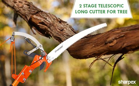 Cutting Tree Branches Tools