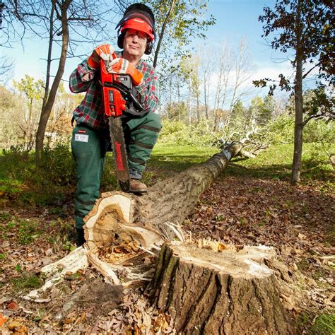 Cutting Trees Down Uk