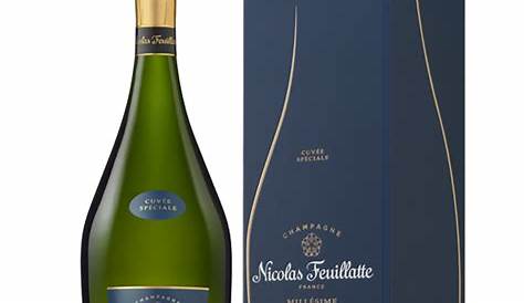 Cuvee Speciale 2013 Nicolas Feuillatte Champagne AOC Millésime Cuvée Spéciale