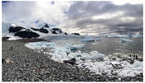 Cuverville Island Antarctica Ron Niebrugge Photography