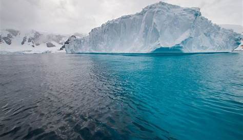 Icebergs On The Still Waters Of Cuverville Island With