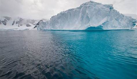 Cuverville Island, Antarctica Antarctica, Explore, Island