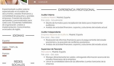 Plantilla currículum de auditor interno y ejemplos | miCVideal
