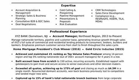 Accountant Manager Resume Samples | QwikResume