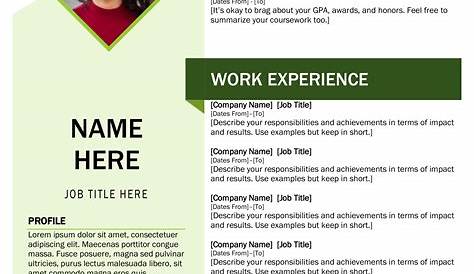 [Download 16+] Download Microsoft Word Resume Template Download Free