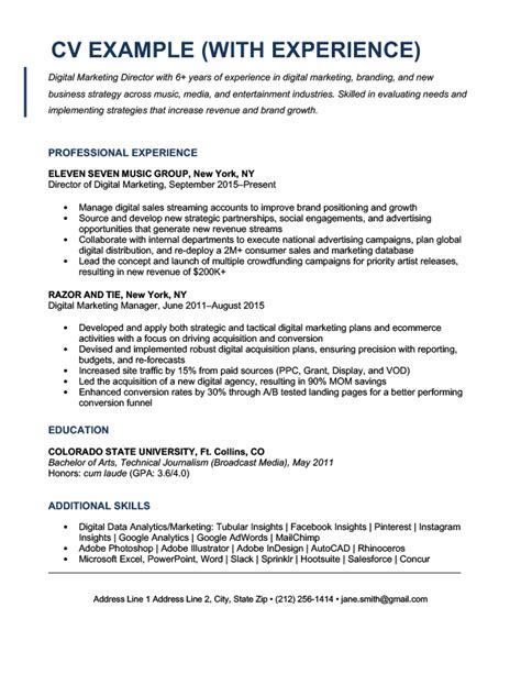 cv example with experience