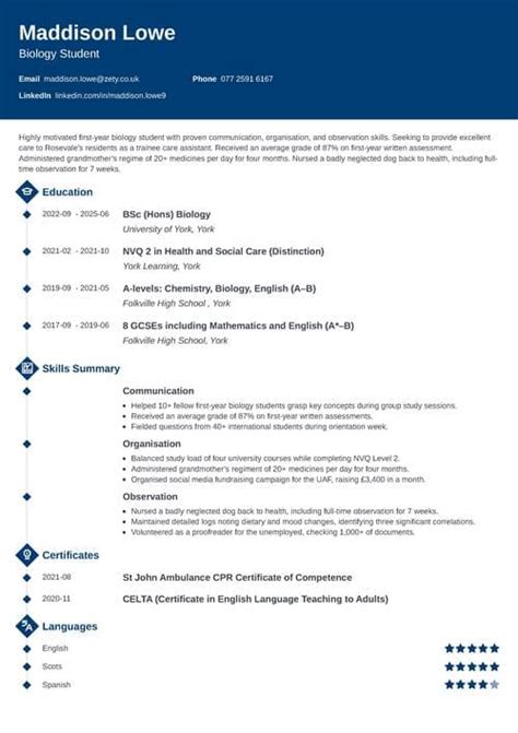 Cv Examples Uk No Experience