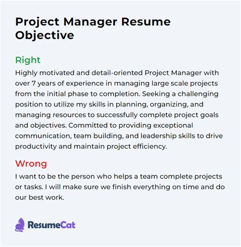cv objective for project manager
