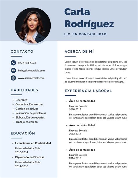 cv profesional