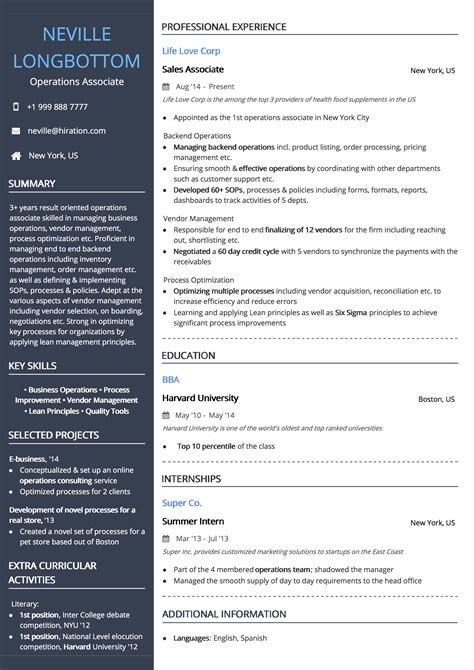 cv professional examples