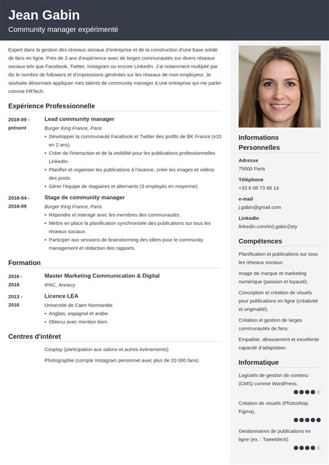 cv profile examples en francais