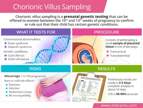 CVS Testing Pregnancy: Accurate Results at Your Local Pharmacy