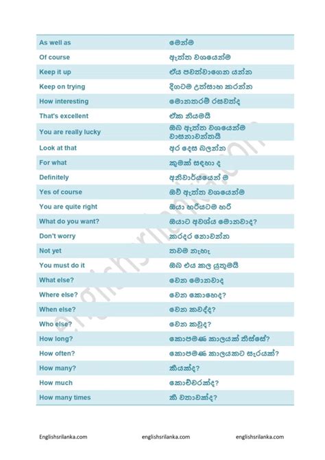 cyber meaning in sinhala