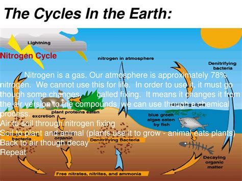 cycles in earth systems