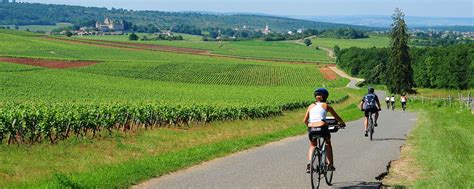 cycling holidays in france for singles