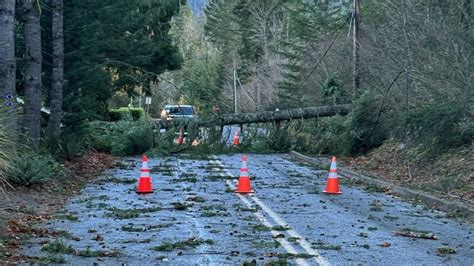 Cyclone Washington State: Storm Secrets Revealed