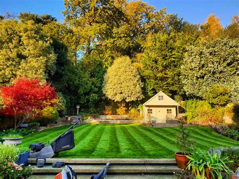 cypress garden services reviews