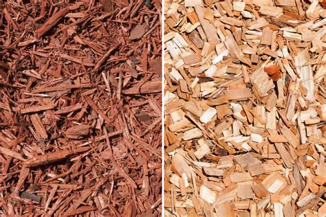 cypress mulch versus pine bark mulch