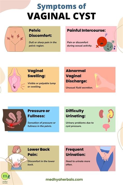 Understanding and Managing a Cyst on Inner Labia: Causes, Symptoms, and Treatment Options