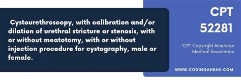 cystoscopy and fulguration cpt code