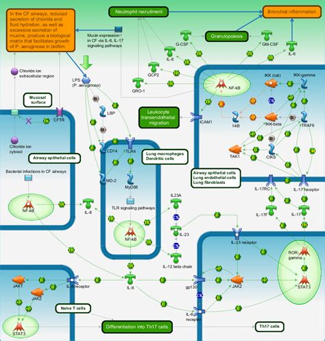Cytokine Pathway Analysis