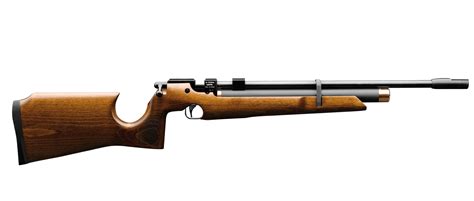Cz 200s Air Rifle For Sale