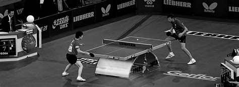 czech pro league table tennis