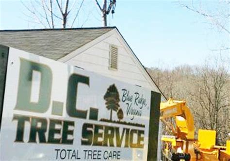 d c tree service