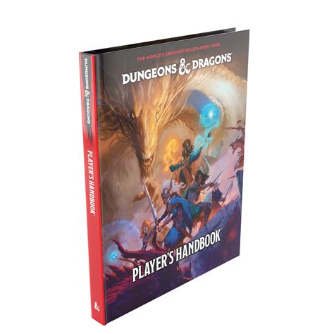 Dungeons & Dragons 2024 Player