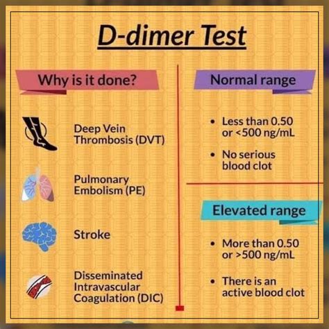 D-Dimer Blood Test For Dvt