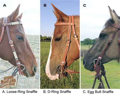 D-Ring Snaffle Bit Explained