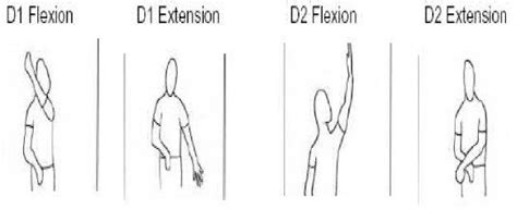 Shoulder Flexion D2 Extension