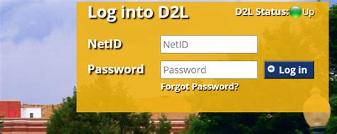 5 Ways MSU D2L Login