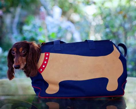 Pup Traveler — Ruff Rescue Gear Small dog carrier, Dachshund rescue