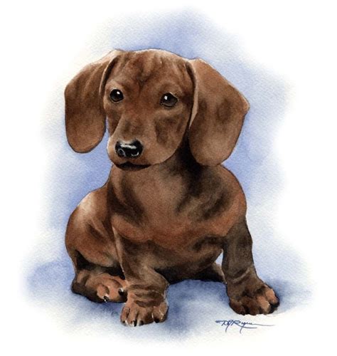 Modern Dog art print of a Dachshund painting