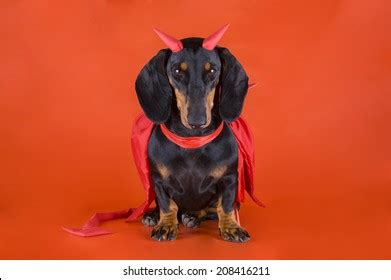 Dachshund Devil Costume