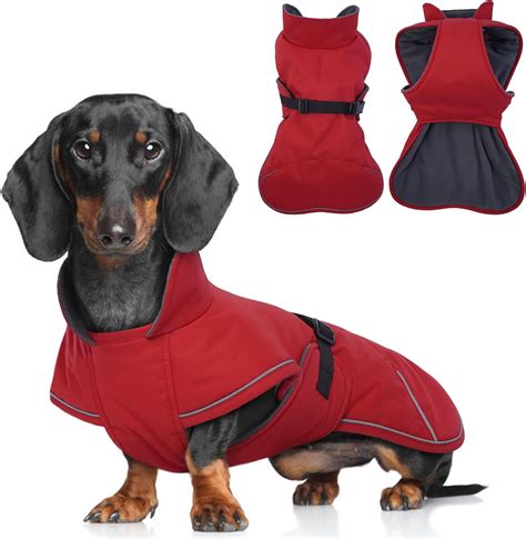 Dachshund Winter Clothes