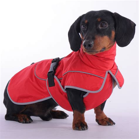 Dachshund Winter Coat