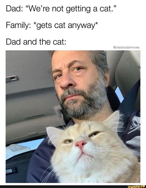 dad and the cat