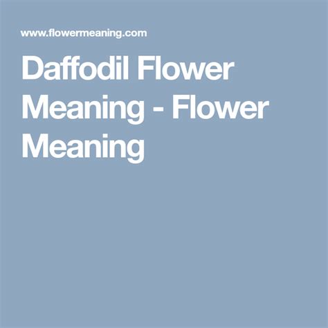 Daffodil Slang Meaning