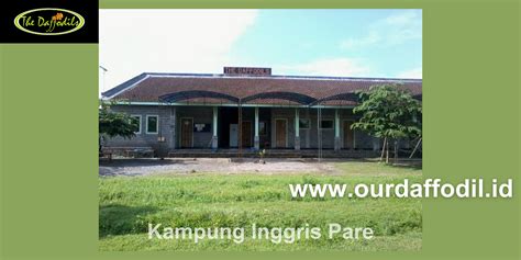 Daffodils Kampung Inggris
