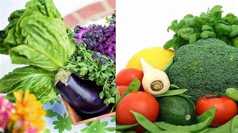 daftar sayuran berserat tinggi