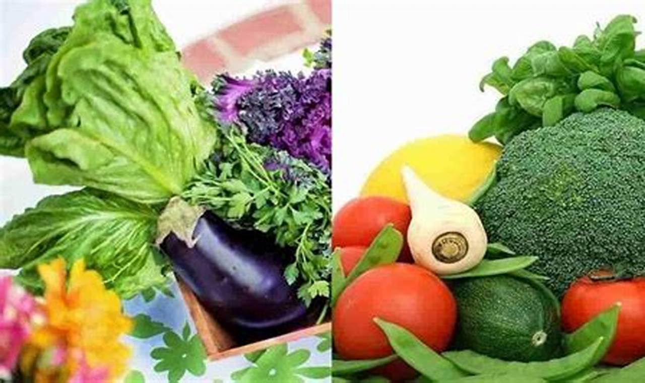 daftar sayuran berserat tinggi