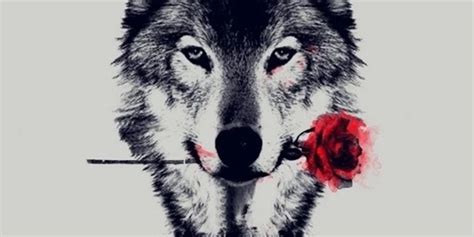 dagger onlyfans of ocean