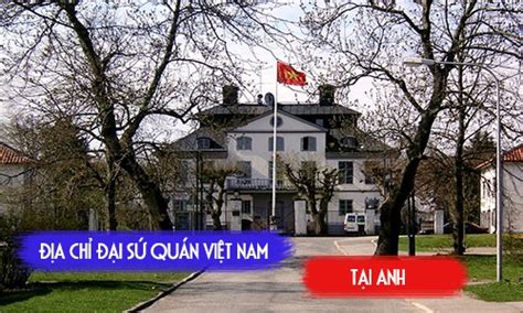 dai viet su quan