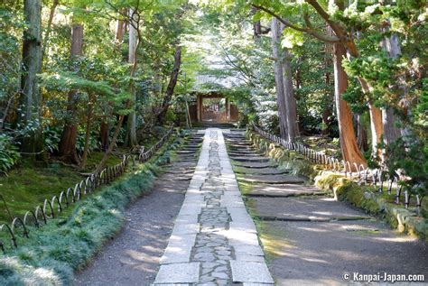 Daibutsu Hiking Trail Photograph by David L Moore Fine Art America