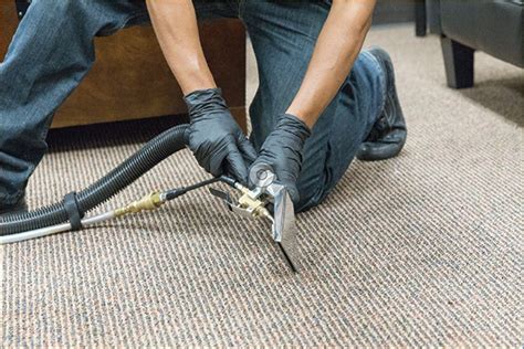 Daily Carpet Cleaning