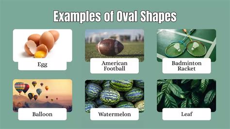 Oval Shape Meaning, Properties, Construction, Examples En
