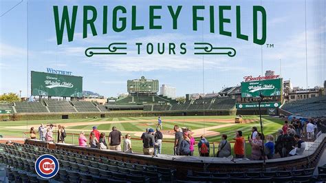 daily tours of wrigley field