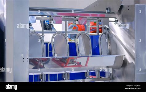 Dairy Cows Feeding System